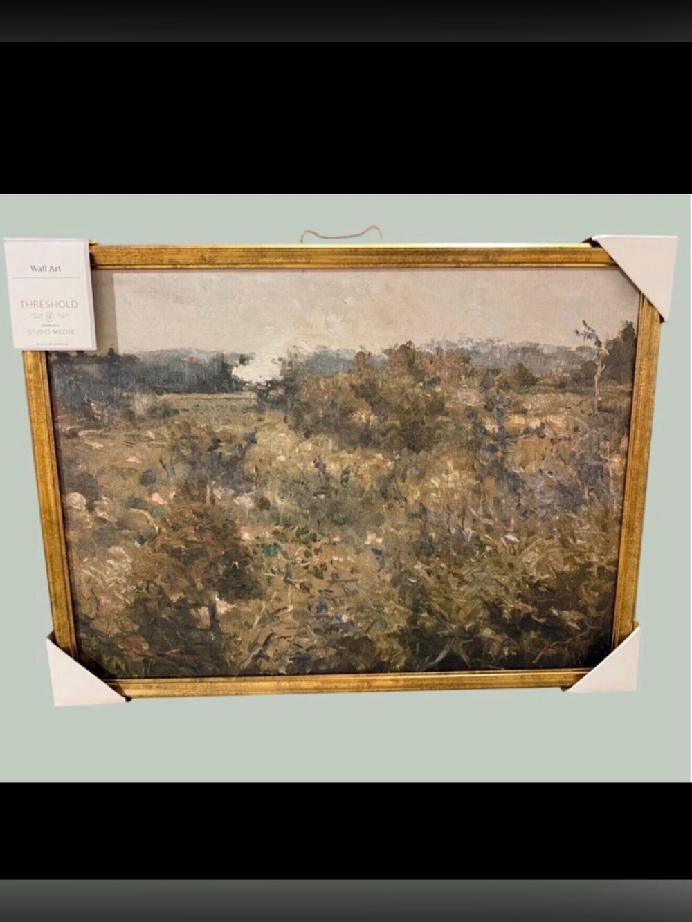 Threshold Studio McGee - 24x18" Landscape study Framed Wall Canvas Antique Gold